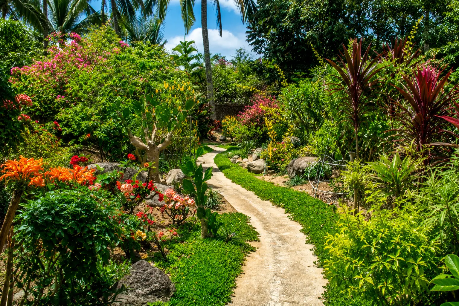 A winding stone pathway cutting through vibrant flower beds and tropical plants in the beautifully landscaped garden area at Wondellea